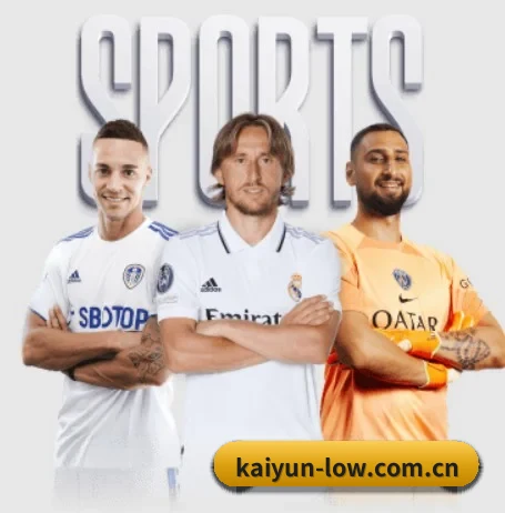 我们在做什么 | kaiyun