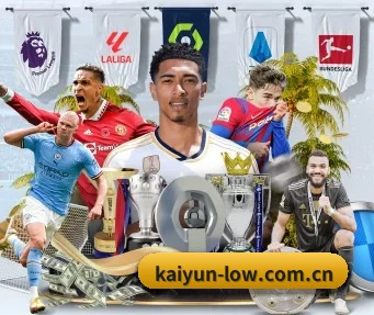 开云 APP（kaiyun）